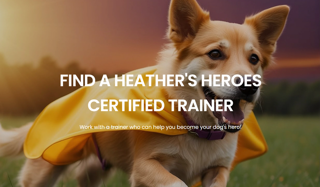 Find a Heather's Heroes Certified Trainer